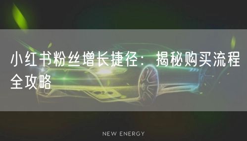 小红书粉丝增长捷径：揭秘购买流程全攻略