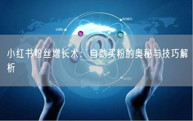 小红书粉丝增长术：自助买粉的奥秘与技巧解析