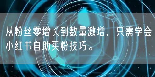 从粉丝零增长到数量激增，只需学会小红书自助买粉技巧。