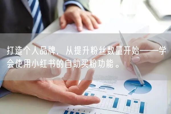 打造个人品牌，从提升粉丝数量开始——学会使用小红书的自助买粉功能。