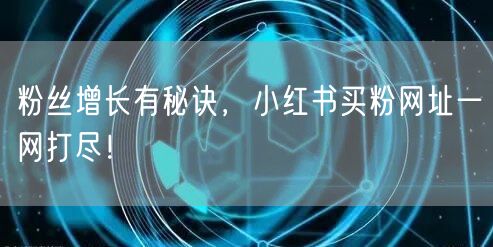 粉丝增长有秘诀，小红书买粉网址一网打尽！