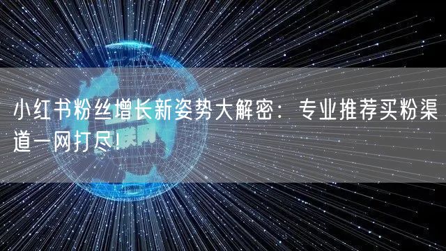 小红书粉丝增长新姿势大解密：专业推荐买粉渠道一网打尽！