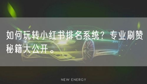 如何玩转小红书排名系统？专业刷赞秘籍大公开。